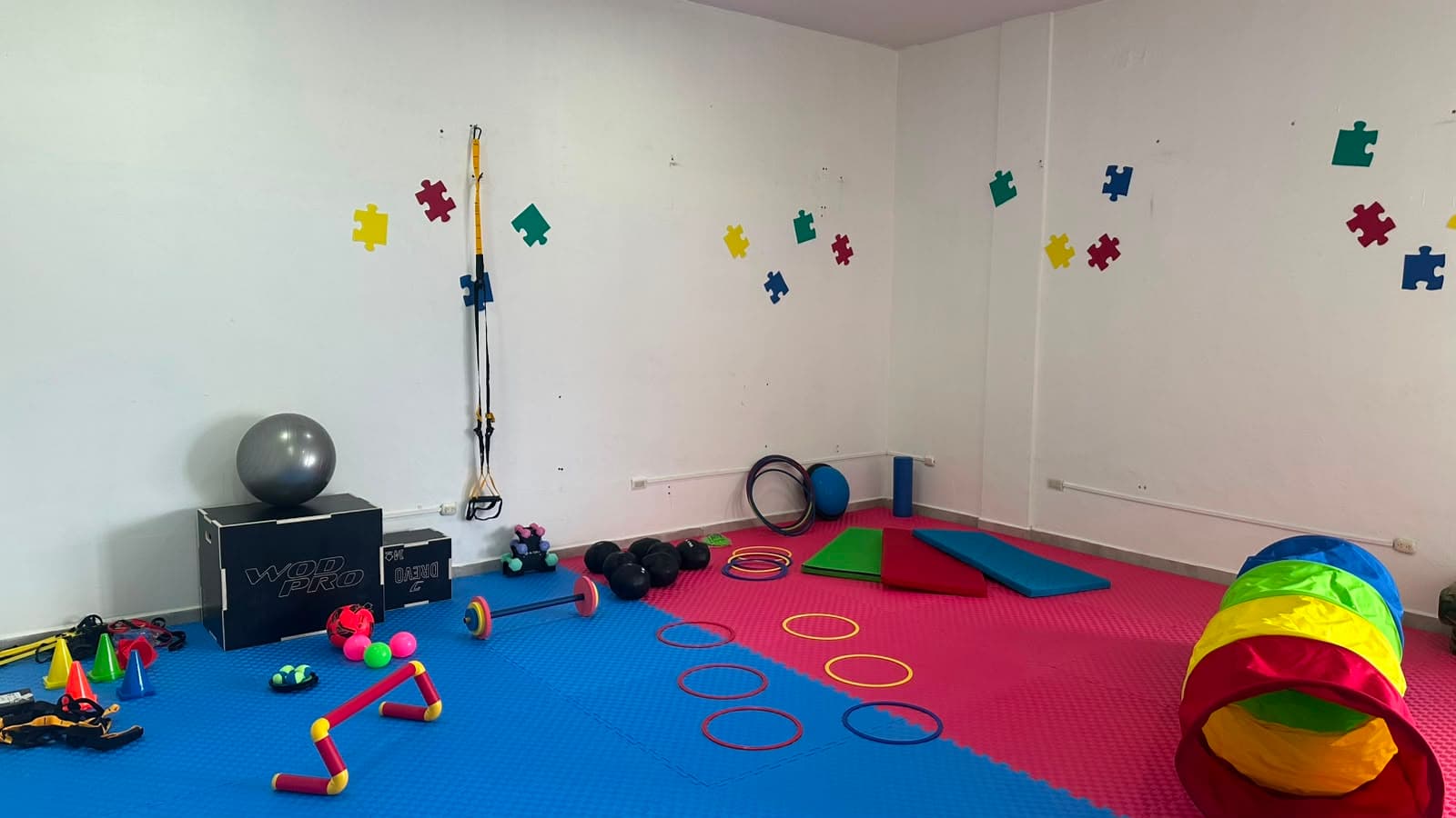 Área de entrenamiento funcional con materiales preparados para la sesión